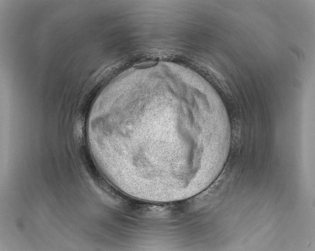 X0000111040166200907161352