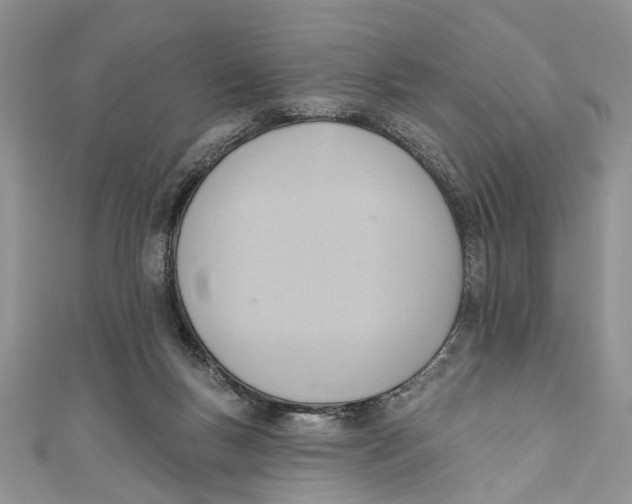 X0000111040167200907161352