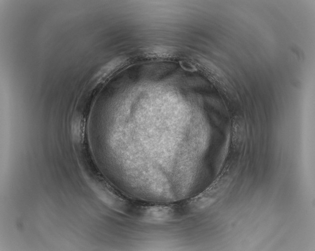 X0000111040168200907161352