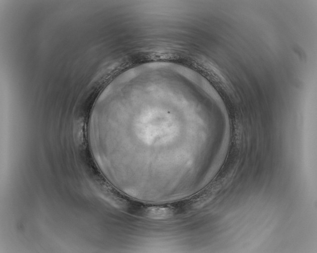 X0000111040169200907161352