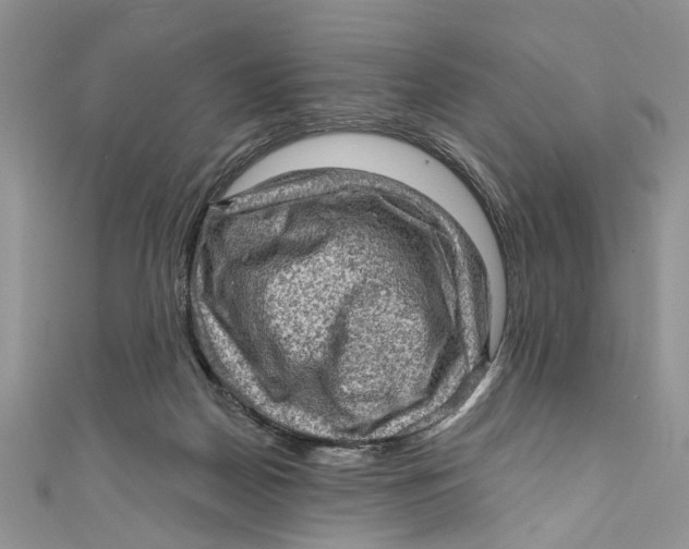 X0000111040170200907161352