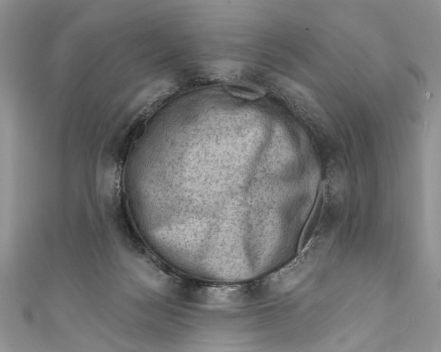 X0000111040172200907161352