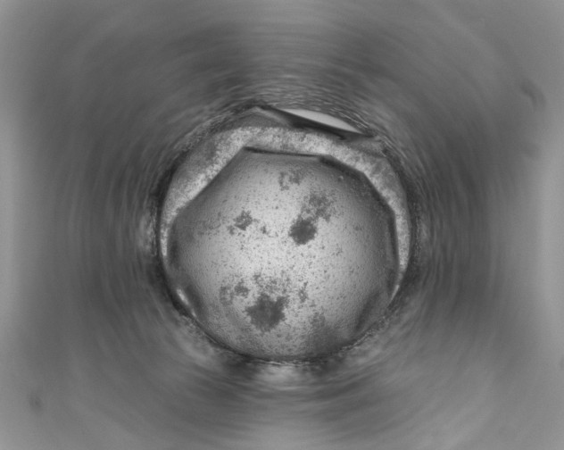 X0000111040177200907161352