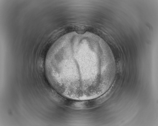 X0000111040178200907161352