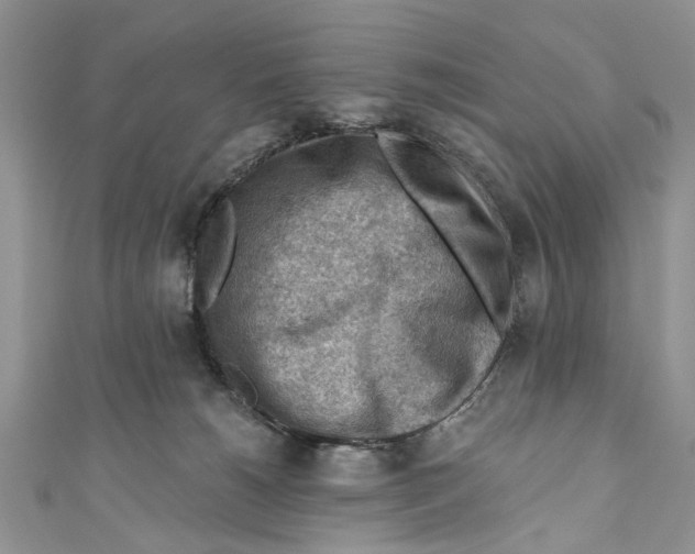 X0000111040180200907161352