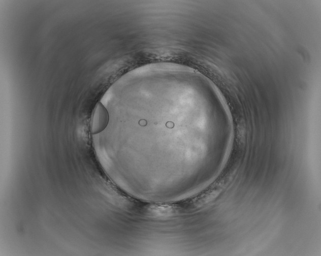 X0000111040181200907161352