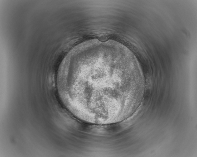 X0000111040182200907161352