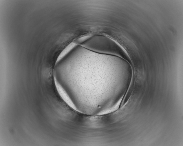 X0000111040184200907161352