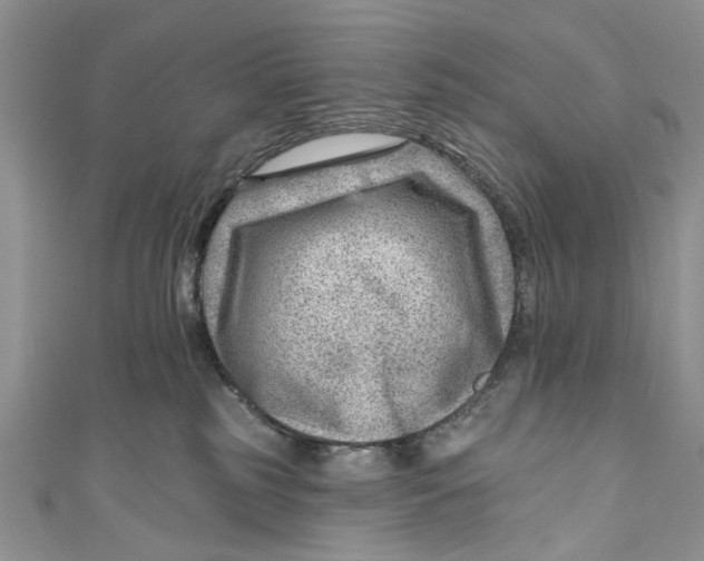 X0000111040185200907161352