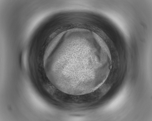 X0000111040189200907161352