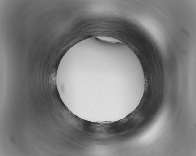 X0000111040190200907161352