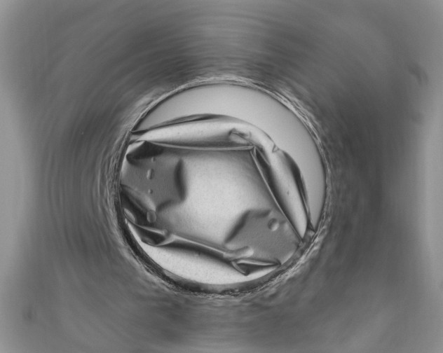 X0000111040193200907161351