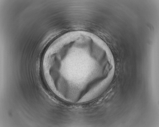 X0000111040194200907161351