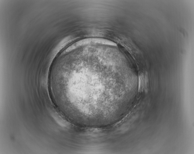 X0000111040195200907161351