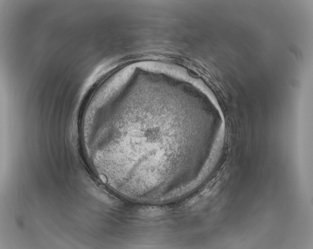 X0000111040198200907161351