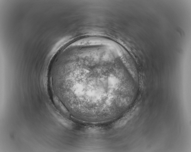 X0000111040199200907161351