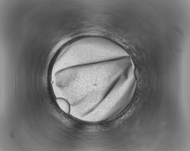 X0000111040200200907161351