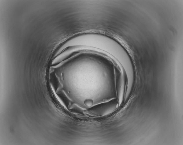 X0000111040201200907161351