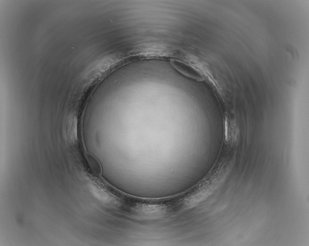 X0000111040205200907161351