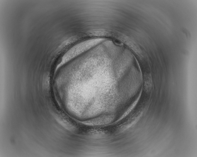 X0000111040207200907161351