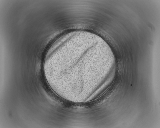 X0000111040208200907161351