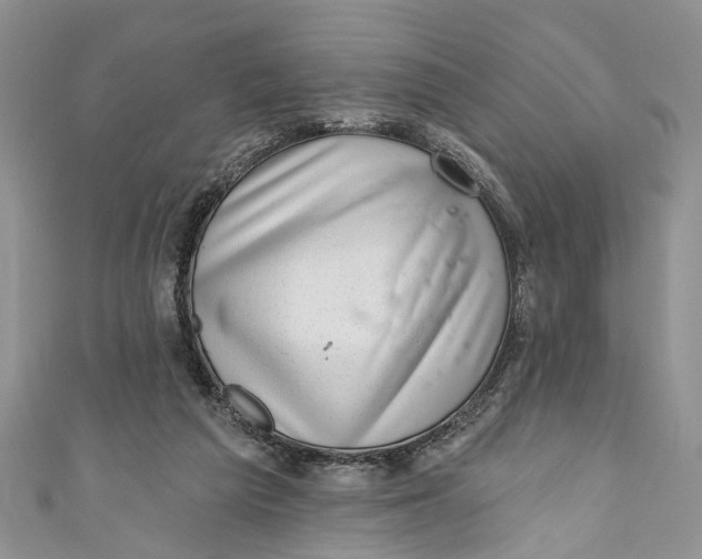 X0000111040209200907161351