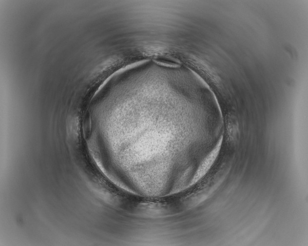 X0000111040211200907161351