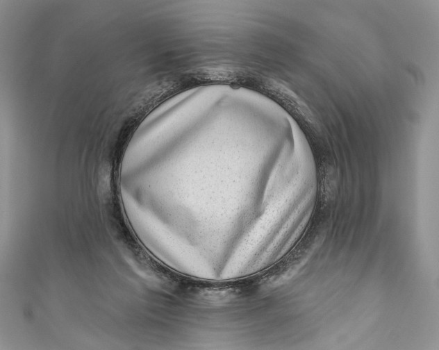 X0000111040213200907161351