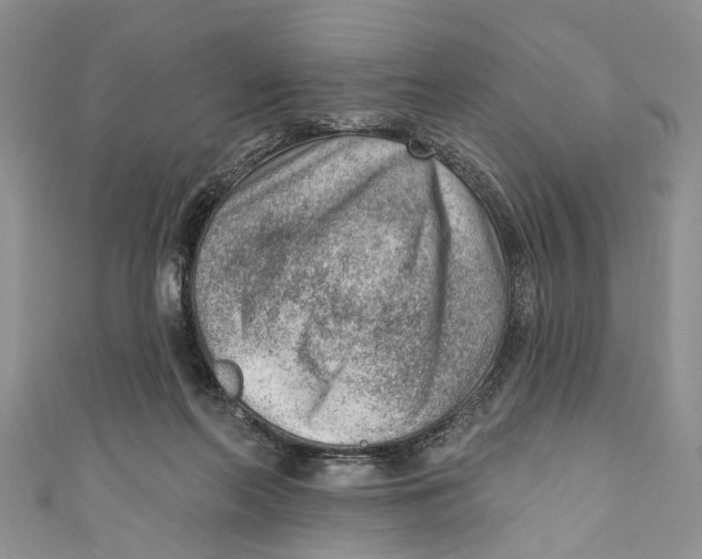 X0000111040214200907161351