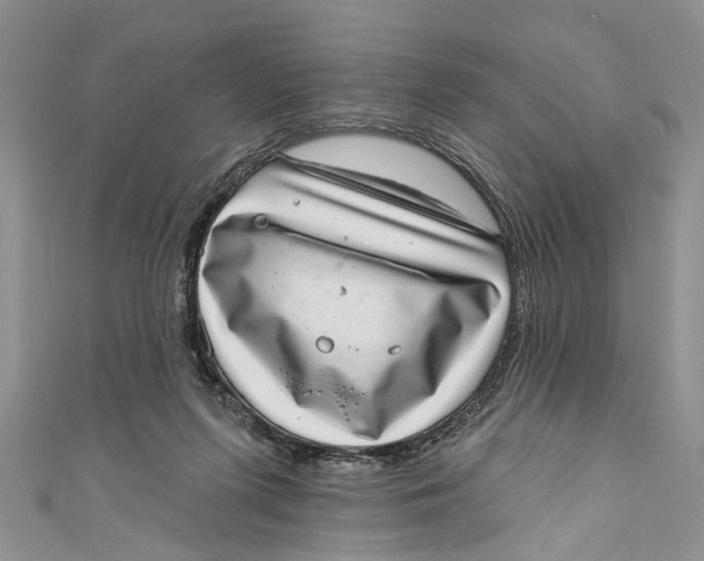 X0000111040215200907161351