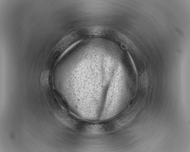 X0000111040217200907161351