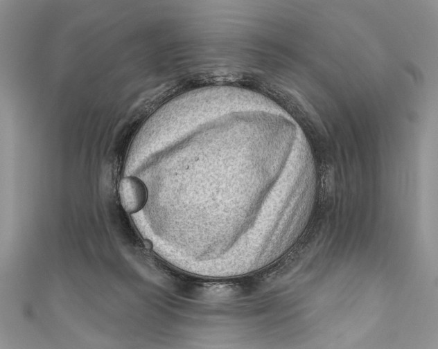 X0000111040218200907161351