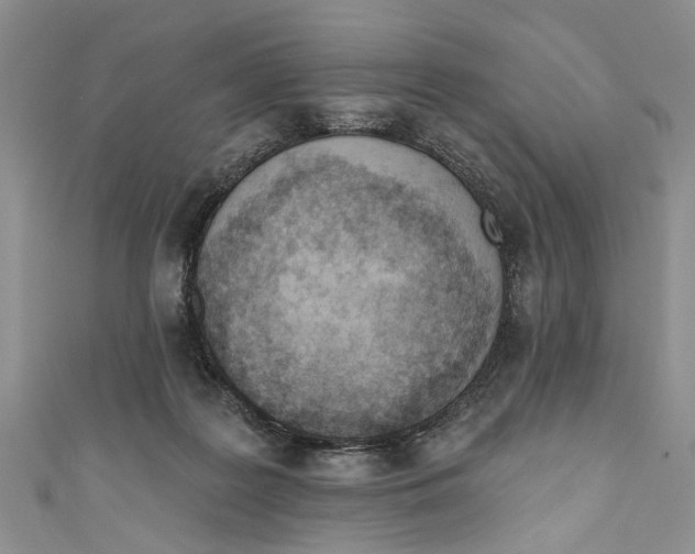 X0000111040219200907161351