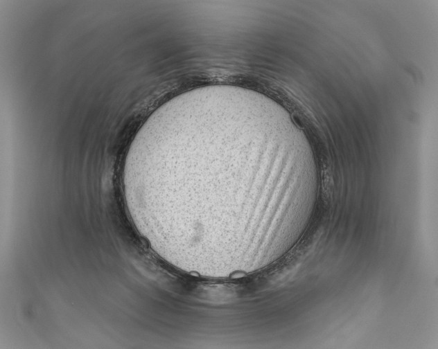 X0000111040221200907161351