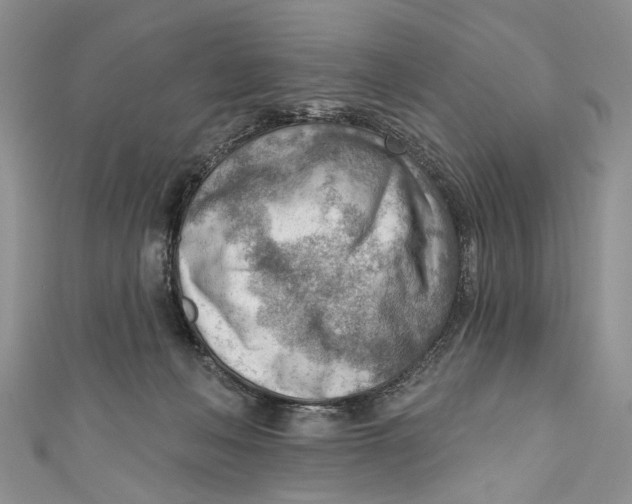 X0000111040222200907161351