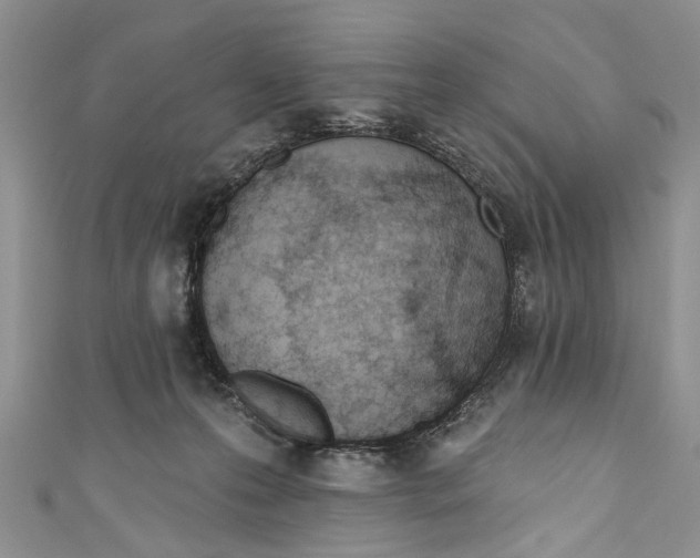 X0000111040223200907161351