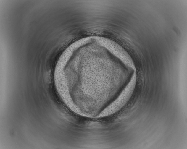 X0000111040224200907161351