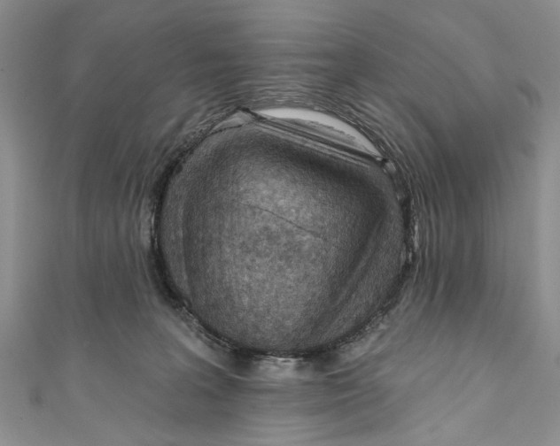 X0000111040227200907161351