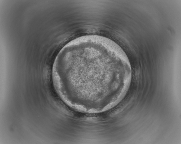 X0000111040228200907161351