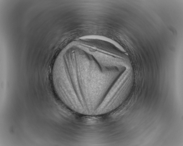 X0000111040229200907161351