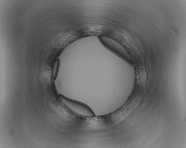 X0000111040231200907161351