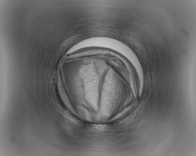 X0000111040233200907161351