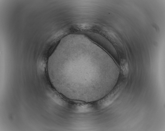 X0000111040235200907161351