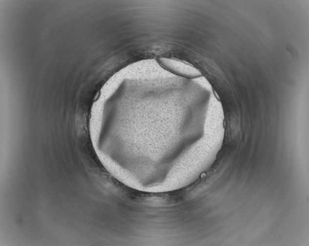 X0000111040236200907161351