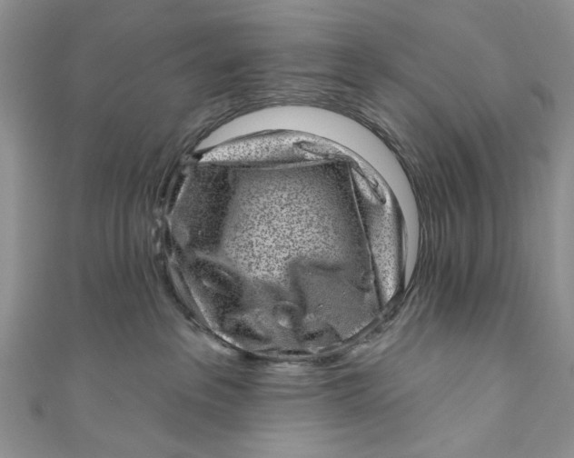 X0000111040237200907161351