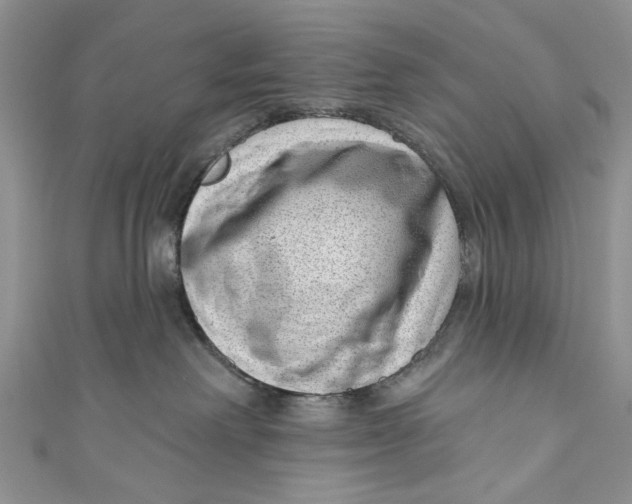 X0000111040238200907161351