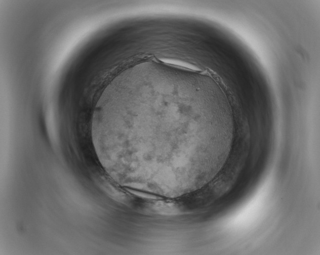 X0000111040239200907161351