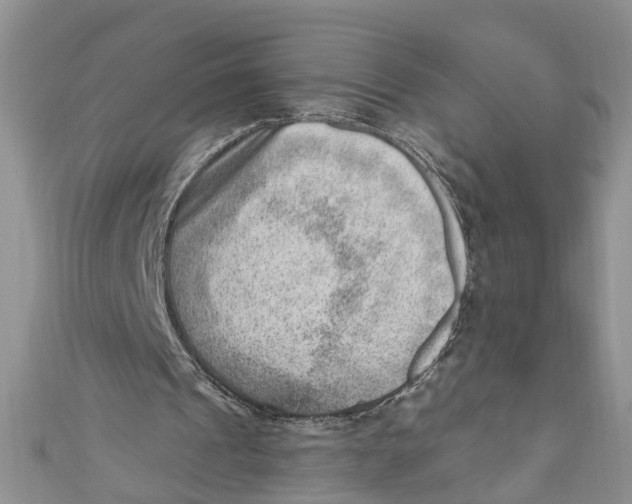 X0000111040241200907161350