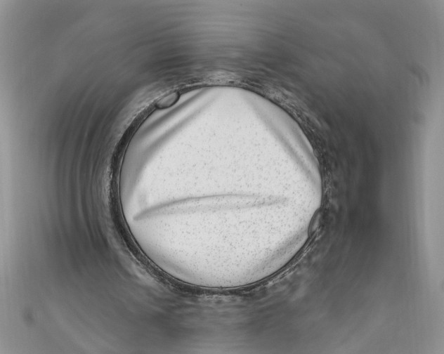 X0000111040242200907161350