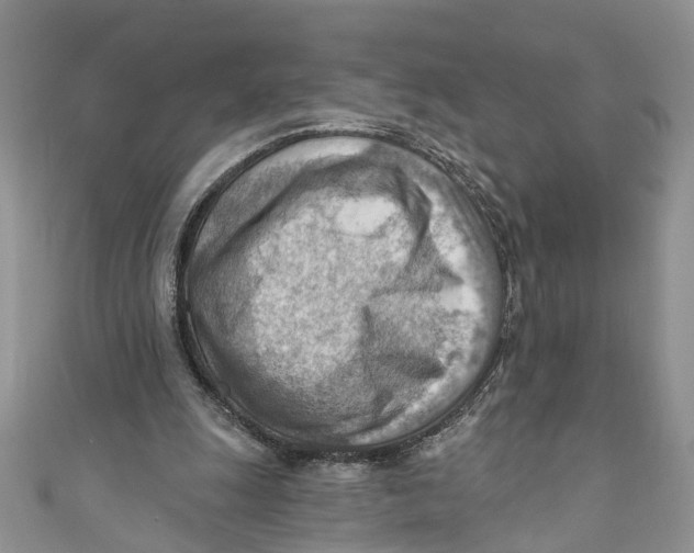 X0000111040247200907161350